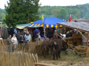 StauferSpektakel 2010 Göppingen