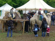 StauferSpektakel 2010 Göppingen