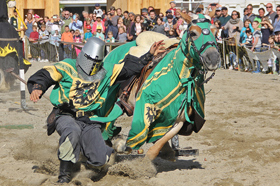 Ritter der schwarzen Lanze